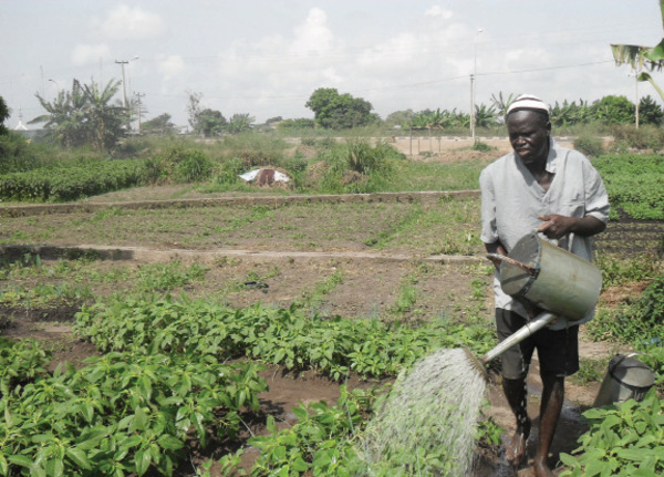 Nigerian farmers is between 60 to 70 says report ...